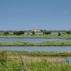 Po di Maistra, Porto Tolle, RO (3)